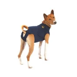 Medical Pet Shirt Hond -Katten Honden Benodigdheden Winkel xPuDXIGJ8BUF7KNct4dTau2Ls058PG metaYzY5MjU1OWNiMjdkMjQ4YTBkODUyNGFkZWQ4MzM5NDgzZjhkNDFmOGJkN2ZmMmU1MzNjZmYwODUxN2VhNDUxYV8zLmpwZWc