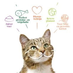 Yarrah - Paté Kat Kuipje Met Rund Bio -Katten Honden Benodigdheden Winkel yarrah pat kat kuipje met rund bio 201059 1000 none