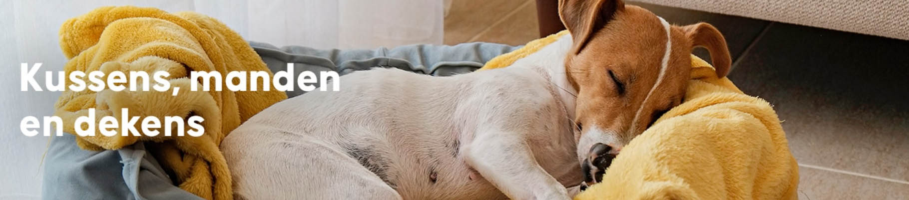 Katten Honden Benodigdheden Winkel -Katten Honden Benodigdheden Winkel DFGDG